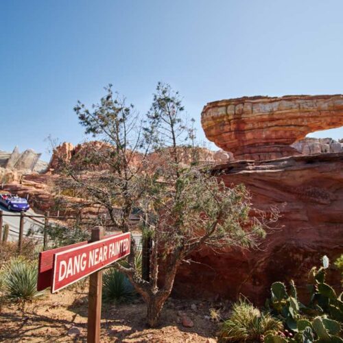 Disney California Adventure 34