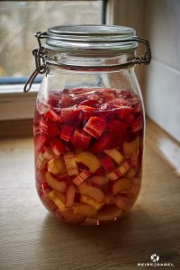 Selbstgemachter Erdbeer-Rhabarber-Wodka