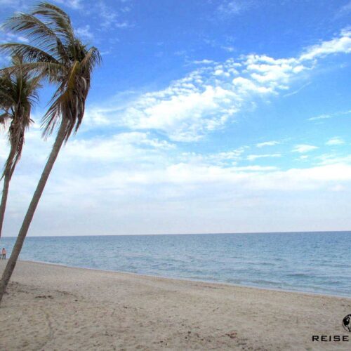 Florida Atlantikküste - Las Vegas Orlando Flug